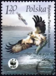 Ptaki znaczek numer 3932