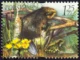 Fauna i flora akwenów słodkowodnych znaczek numer 3951