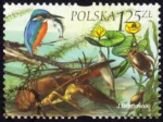 Fauna i flora akwenów słodkowodnych znaczek numer 3952
