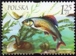 Fauna i flora akwenów słodkowodnych znaczek numer 3953