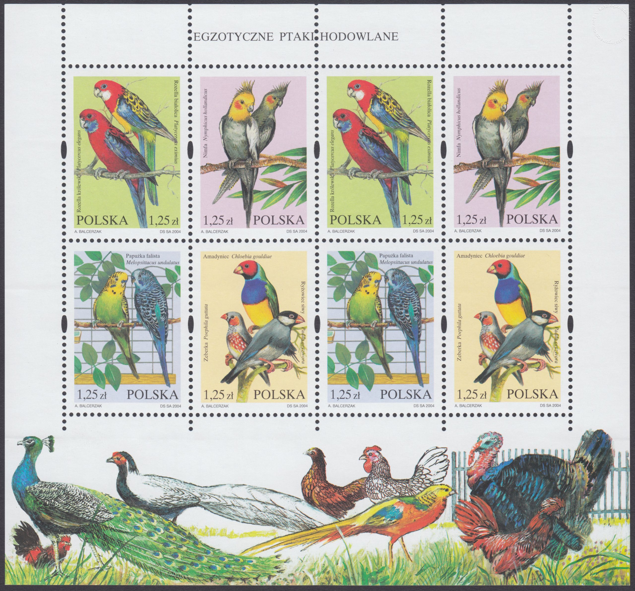 Egzotyczne ptaki hodowlane ark. 3967-3970