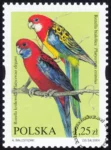 Egzotyczne ptaki hodowlane znaczek numer 3967