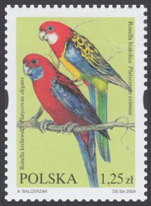 Egzotyczne ptaki hodowlane - 3967