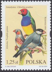 Egzotyczne ptaki hodowlane - 3970