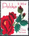 Róże w hafcie polskim znaczek numer 4047