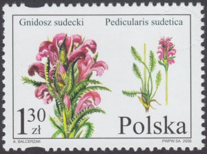 Chronione i zagrożone gatunki flory polskiej - 4082