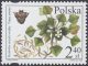 Chronione i zagrożone gatunki flory polskiej - 4083