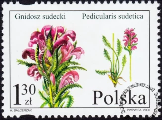Chronione i zagrożone gatunki flory polskiej znaczek numer 4082