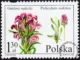 Chronione i zagrożone gatunki flory polskiej znaczek numer 4082