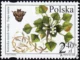 Chronione i zagrożone gatunki flory polskiej znaczek numer 4083