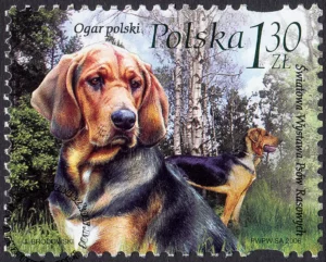 Światowa Wystawa Psów Rasowych 2006 w Poznaniu znaczek numer 4126