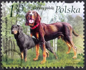 Światowa Wystawa Psów Rasowych 2006 w Poznaniu znaczek numer 4127