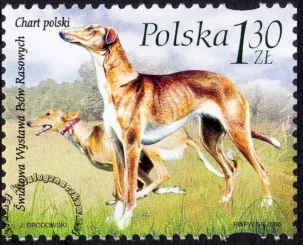 Światowa Wystawa Psów Rasowych 2006 w Poznaniu znaczek numer 4129