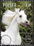 Polskie konie arabskie znaczek numer 4174
