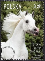 Polskie konie arabskie znaczek numer 4174