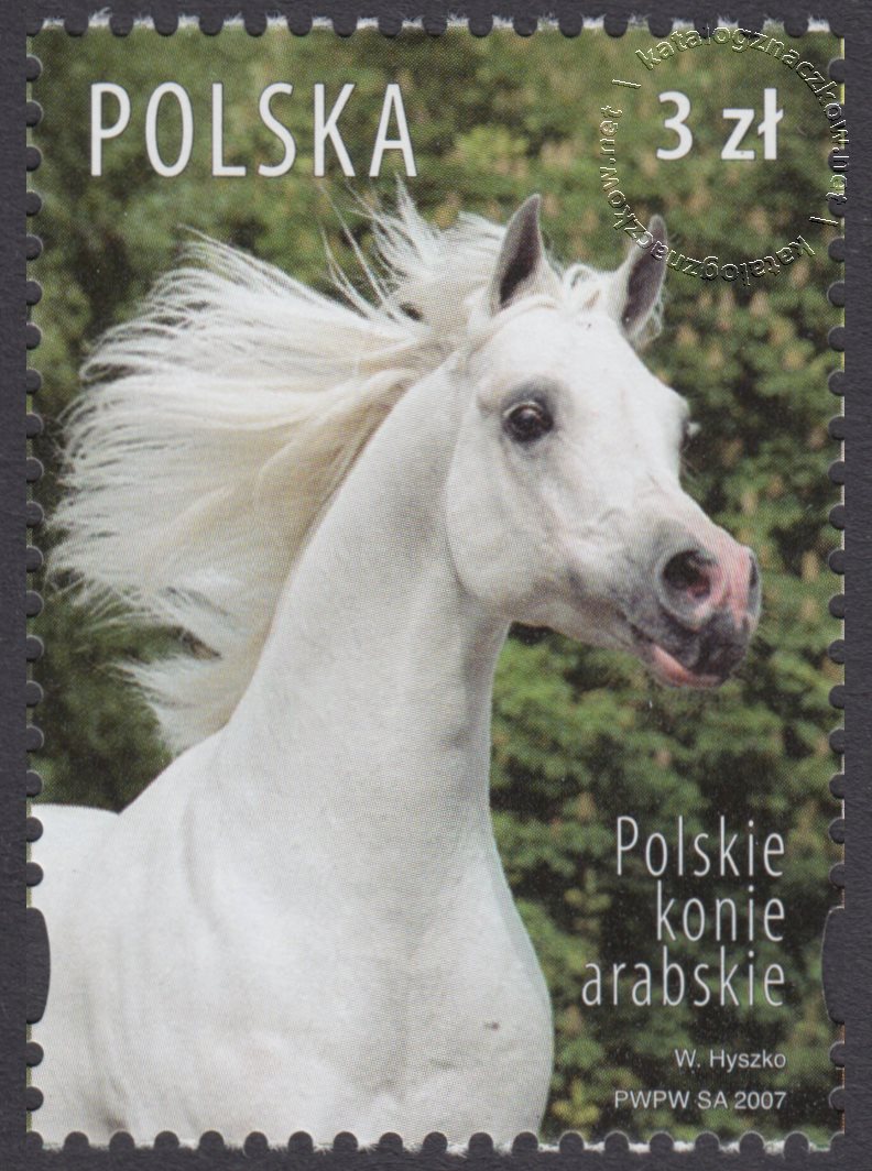Polskie konie arabskie znacczek nr 4174