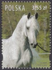 Polskie konie arabskie - 4176