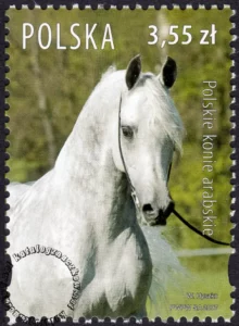 Polskie konie arabskie znaczek numer 4176