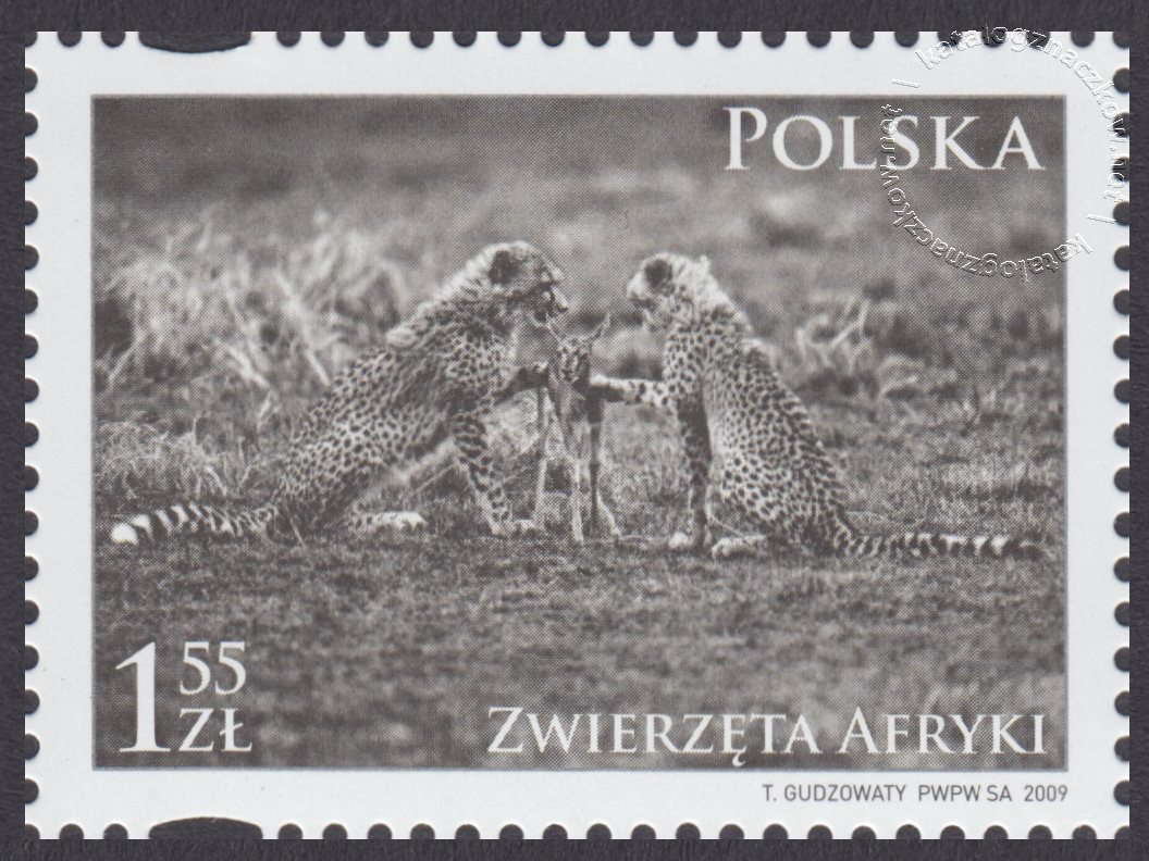 Zwierzęta Afryki znaczek nr 4271