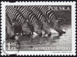 Zwierzęta Afryki znaczek numer 4272