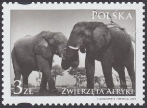 Zwierzęta Afryki - 4274