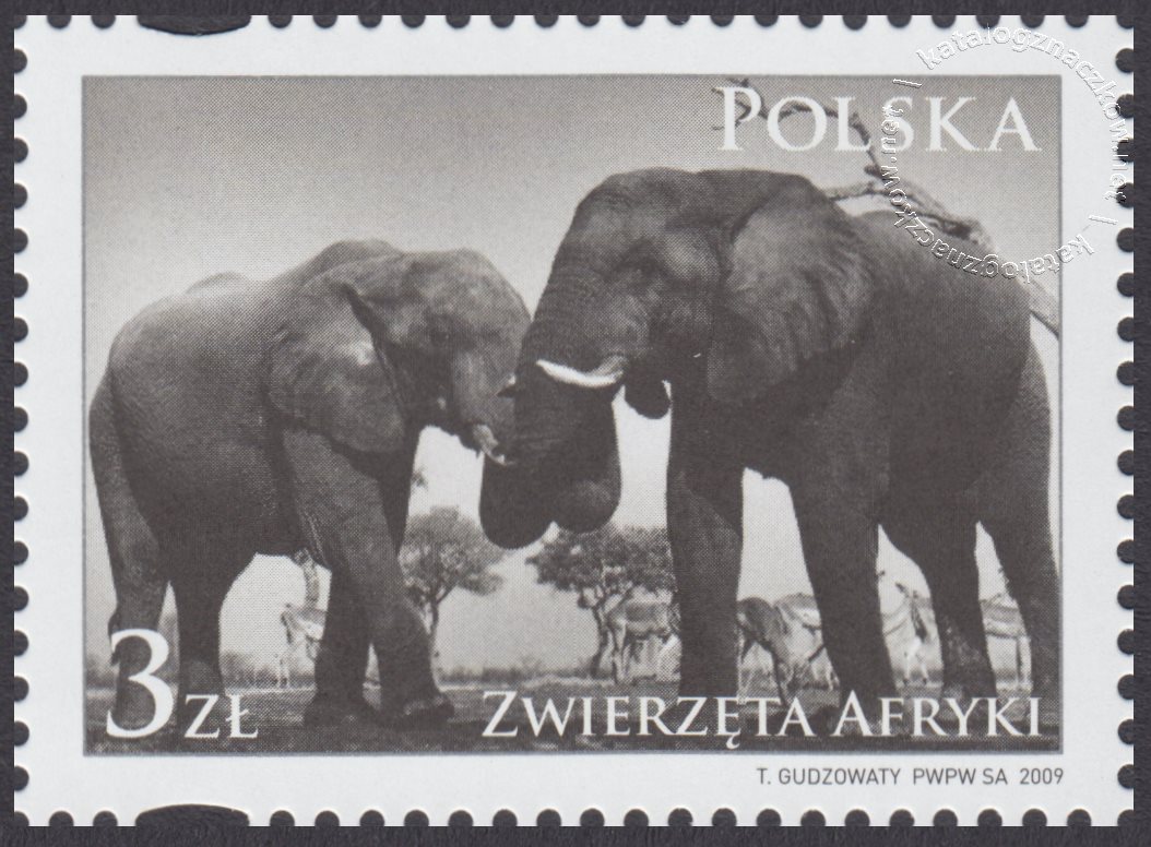Zwierzęta Afryki znaczek nr 4274