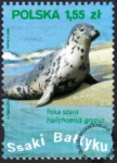 Ssaki Bałtyku znaczek numer 4284