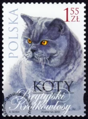 Koty znaczek numer 4317