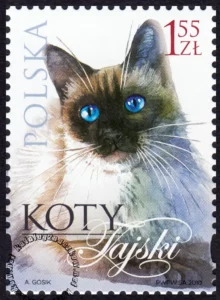 Koty znaczek numer 4318