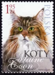 Koty znaczek numer 4320