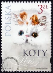 Koty znaczek numer 4321