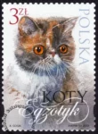 Koty znaczek numer 4322