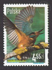 Polskie ptaki - znaczek nr 4453