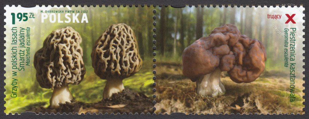 Grzyby w polskich lasach - znaczek nr 4430