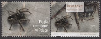 Pająki chronione w Polsce - znaczek nr 4507