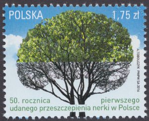 50 rocznica pierwszego udanego przeszczepu nerki w Polsce - znaczek nr 4668