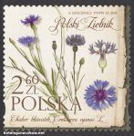 Polski zielnik - 4783