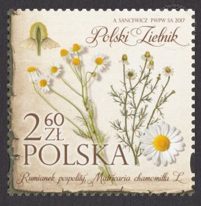 Polski zielnik - 4785