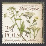 Polski zielnik - 4785