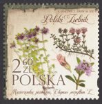 Polski zielnik - 4786