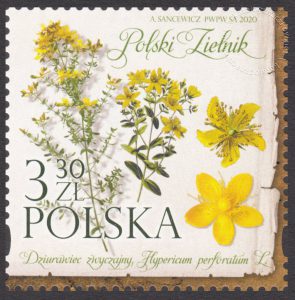 Polski Zielnik - 5084