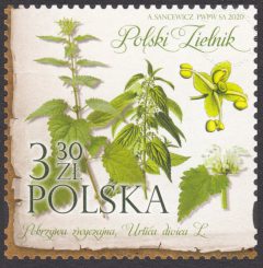 Polski Zielnik - 5085
