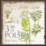 Polski Zielnik - 5087