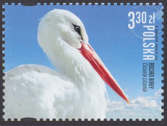 Polskie ptaki - 5112