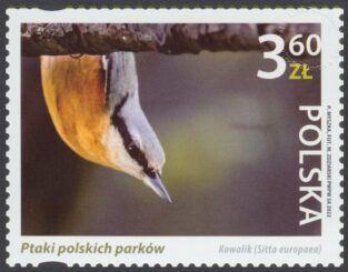 Ptaki polskich parków - 5214