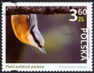 Ptaki polskich parków znaczek nr 5214
