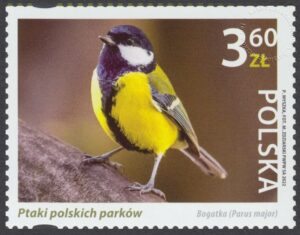 Ptaki polskich parków - 5215