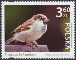 Ptaki polskich parków - 5216