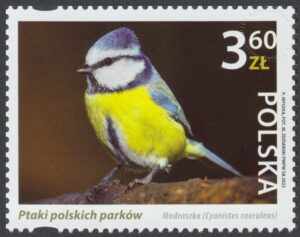 Ptaki polskich parków - 5217