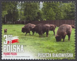 Piękno Polski - 5219
